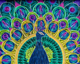 Framed, Matted & Signed Fine Art Print: Peacock in Cool Hues 8x10